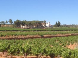 Valencia's number one international speaking city tour company