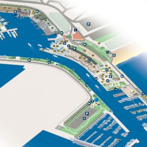 MAP americas cup port