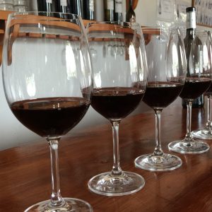 Valencia Wine Tours 2