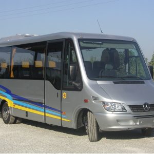 Valencia VIP Mini coach 20 pax